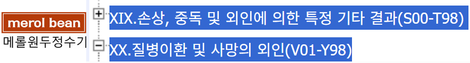 통계분류포털-보건의료-한국표준질병사인분류(kcd)클릭 후  분류내용보기(해설서)